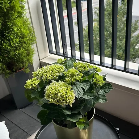 Apartment Pastelowa Portova Gdynia