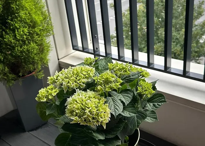 Lägenhet Pastelowa Portova Gdynia